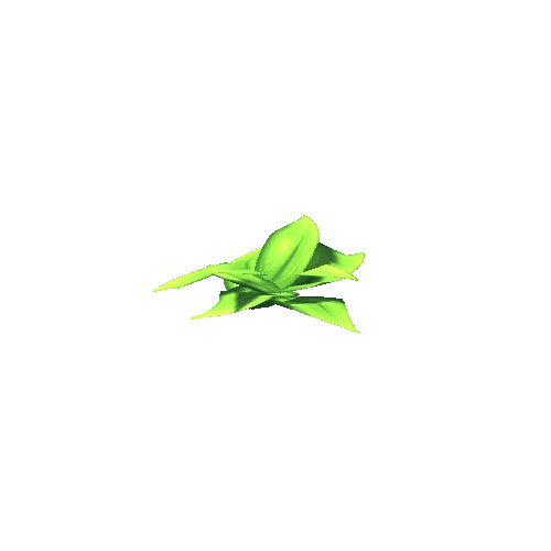 Plant 3